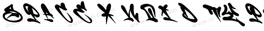 SPACE X NOID TYPEFAC字体转换